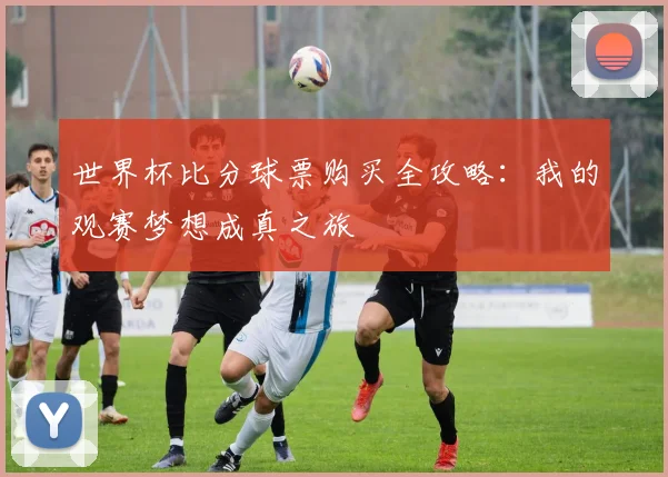 世界杯比分球票购买全攻略：我的观赛梦想成真之旅