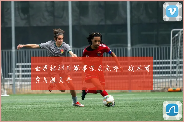 世界杯28日赛事深度点评：战术博弈与胜负手
