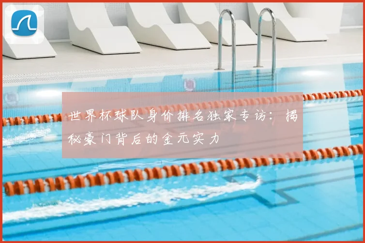 世界杯球队身价排名独家专访：揭秘豪门背后的金元实力