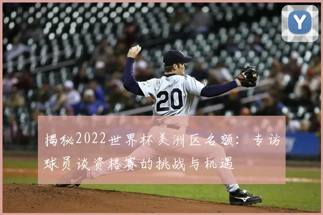 揭秘2022世界杯美洲区名额：专访球员谈资格赛的挑战与机遇