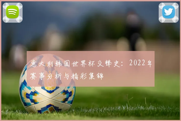 意大利韩国世界杯交锋史：2022年赛事分析与精彩集锦