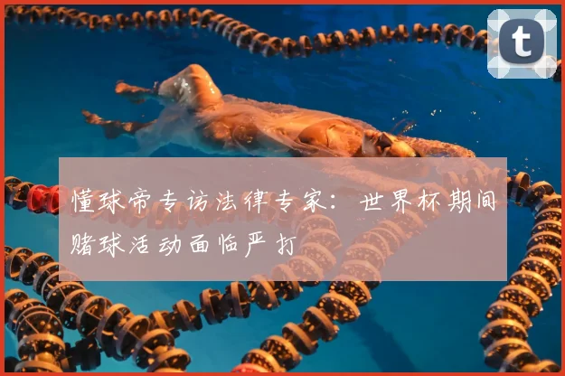 懂球帝专访法律专家：世界杯期间赌球活动面临严打