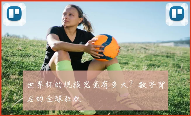 世界杯的规模究竟有多大?数字背后的全球狂欢