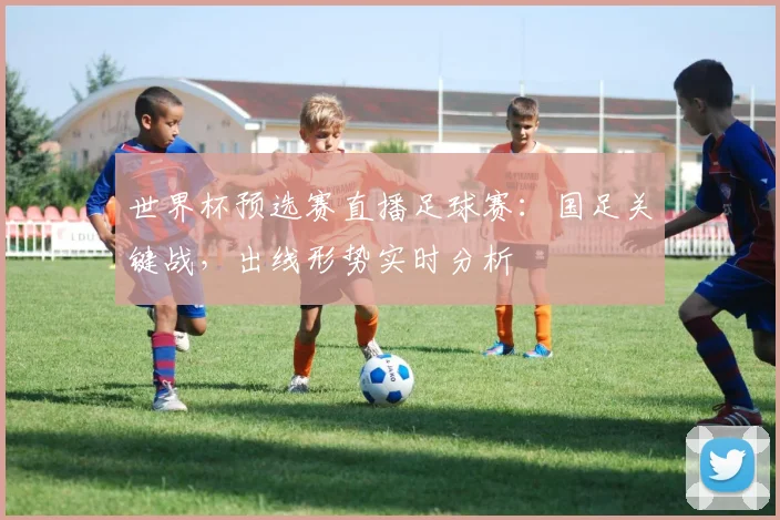 世界杯预选赛直播足球赛：国足关键战，出线形势实时分析