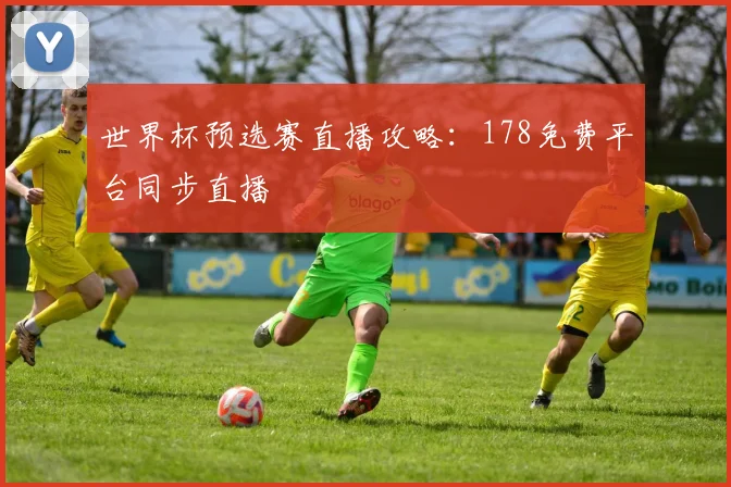 世界杯预选赛直播攻略：178免费平台同步直播